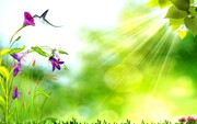 پنج پیشنهاد محیط‌ زیستی برای آغاز بهار