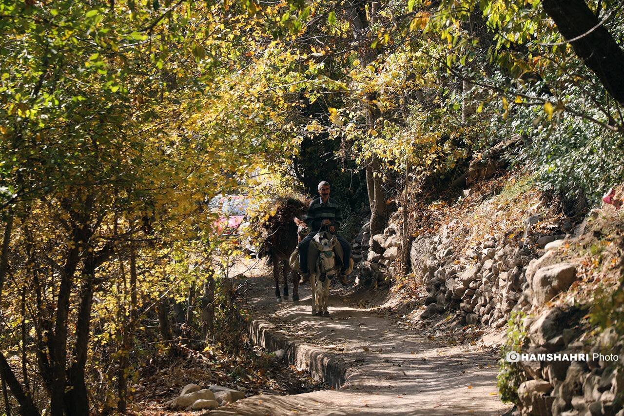 تعطیلات خود را میان جنگل و آبشار در چند متری تهران سپری کنید