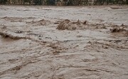 اولین تصاویر از سیل مهیب در ارمنستان | لحظه ورود سیلاب به جاده ها