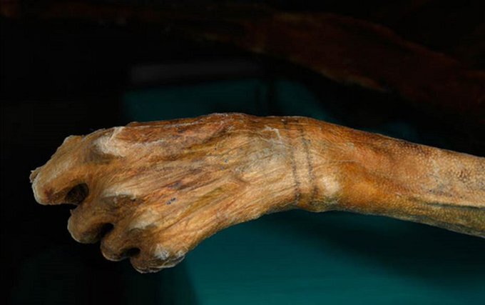 عکس | قدیمی‌ترین خالکوبی جهان متعلق به کیست؟