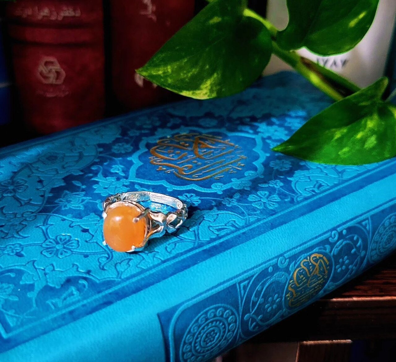 بانوی قهرمان با انگشتر اهدایی رهبری ، ۷ زندانی را آزاد کرد + عکس