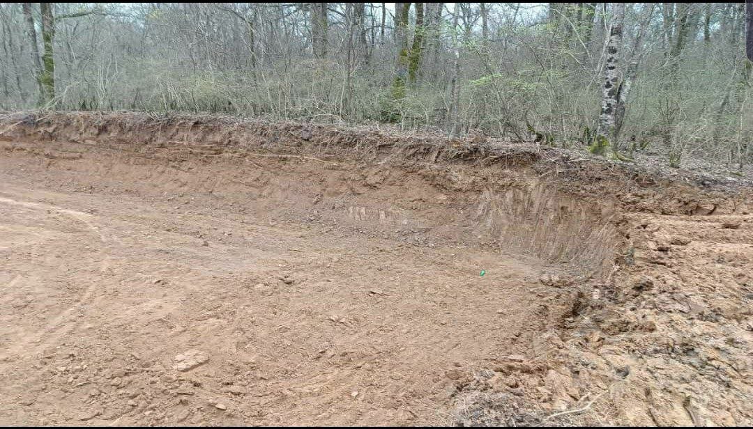 قطع ۴۰۰۰ اصله درخت در جنگل نور برای ساخت پارکینگ + واکنش فوری دادستان