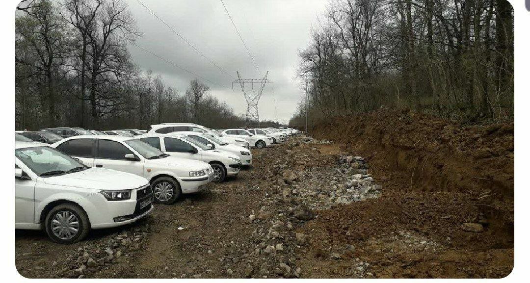 قطع ۴۰۰۰ اصله درخت در جنگل نور برای ساخت پارکینگ + واکنش فوری دادستان