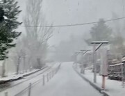 تصاویر بارش شدید برف در گنجنامه همدان + فیلم