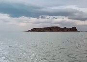 جزیره‌های دریاچه ارومیه بعد از ۵ سال در محاصره آب + فیلم | بارندگی‌ها چشم ایران را از خوشحالی پر آب کرد