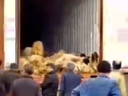 چوپان و ۱۰۰ گوسفند در اصفهان خفه شدند + فیلم | هیچ روزنه‌ای برای نفس کشیدن وجود نداشت!