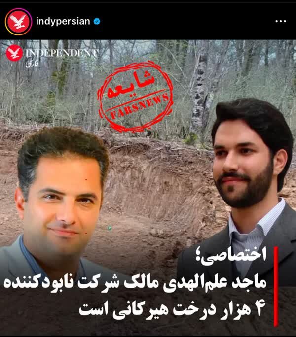 قطع ۴۰۰۰ درخت هیرکانی توسط شرکت فرزند آیتالله علمالهدی؟ | پاسخ فوری ماجد علمالهدی به ادعای یک رسانه ضد ایرانی