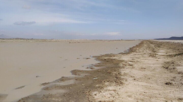 تالاب زیبای ایران پس از ۳ سال دوباره زنده شد | تصاویر