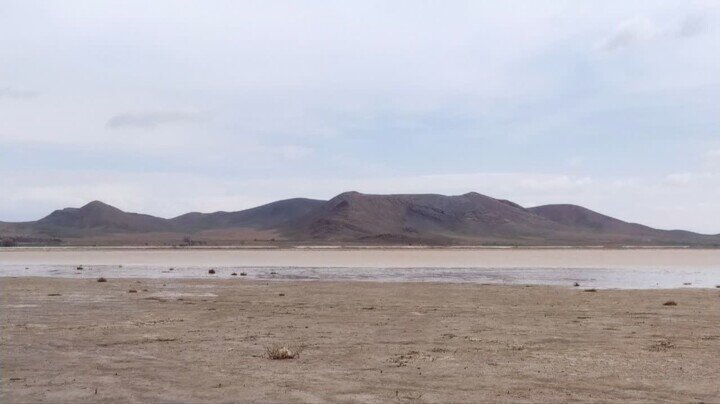 تالاب زیبای ایران پس از ۳ سال دوباره زنده شد | تصاویر