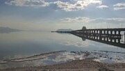 تصاویر چشم نواز از بازگشت فلامینگوها به دریاچه ارومیه