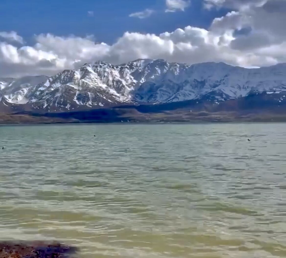 تالابهای ایران دوباره جان گرفتند + تصاویر