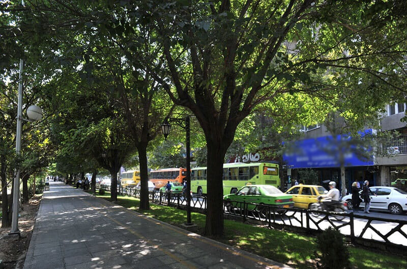 کشف بهار با پای پیاده