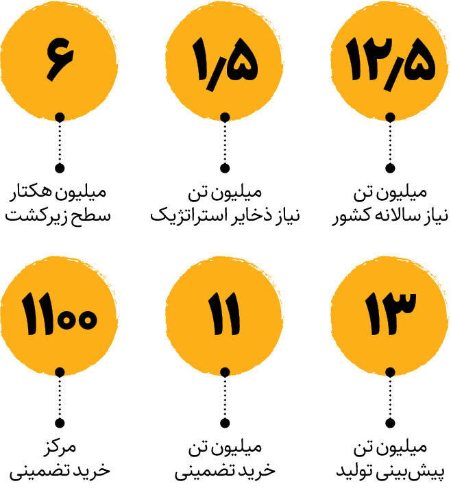 پیشبینی افزایش تولید گندم در استانها | کدام استان ها رکوردار تولید گندم هستند؟