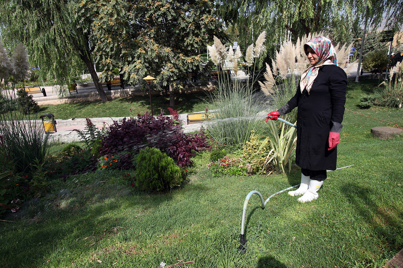 گردش در میان گیاهان دارویی