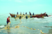 پایان فصل صید دریای خزر ؛ جزئیات صید در ۳ استان شمالی