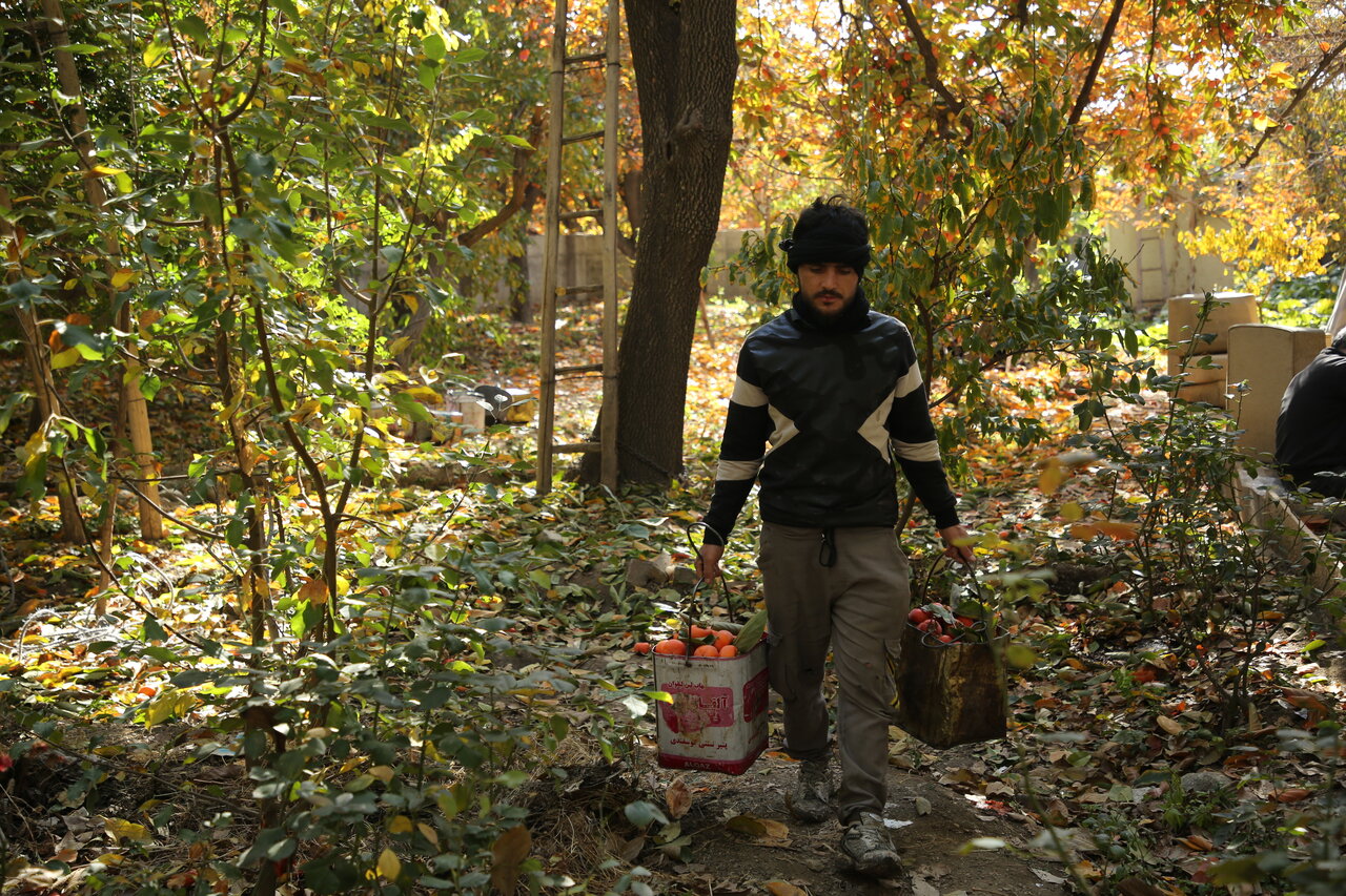 انارخوری شاه قاجار در نزدیکی دوازدیمون روستای کن