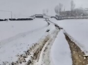 بارش ۴۰ سانتیمتری برف بهاری در ایران! + فیلم | برف سنگین باعث تعجب مردم شد