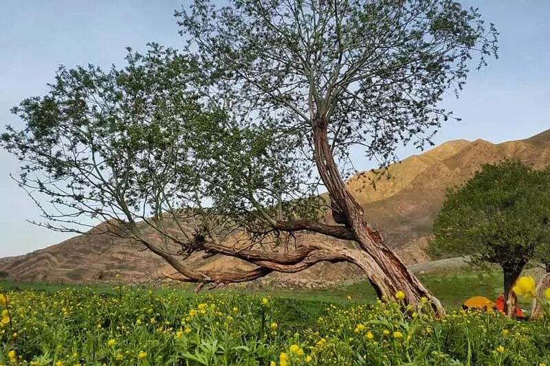 اینجا بهشت خوش آب و هوای تهرانیها است!