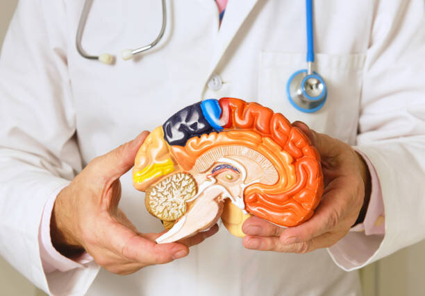 کاهش علائم پارکینسون با انتقال باکتریهای سالم از طریق پیوند مدفوع