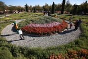 زیباترین گل‌های جهان، در این نقطه از تهران جمع‌اند!
