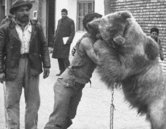 کشتی با خرس در خیابانهای تهران | تصاویر عجیب و تاریخی از معرکهگیرهای تهران