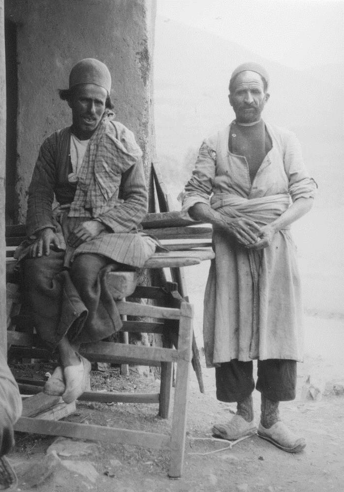 چارواداری در طهران در نقش شرکتهای مسافربری و باربری | چاروادارها حق گمرکی و راهداری میپرداختند