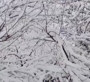بارش غافلگیر کننده برف در یزد + فیلم