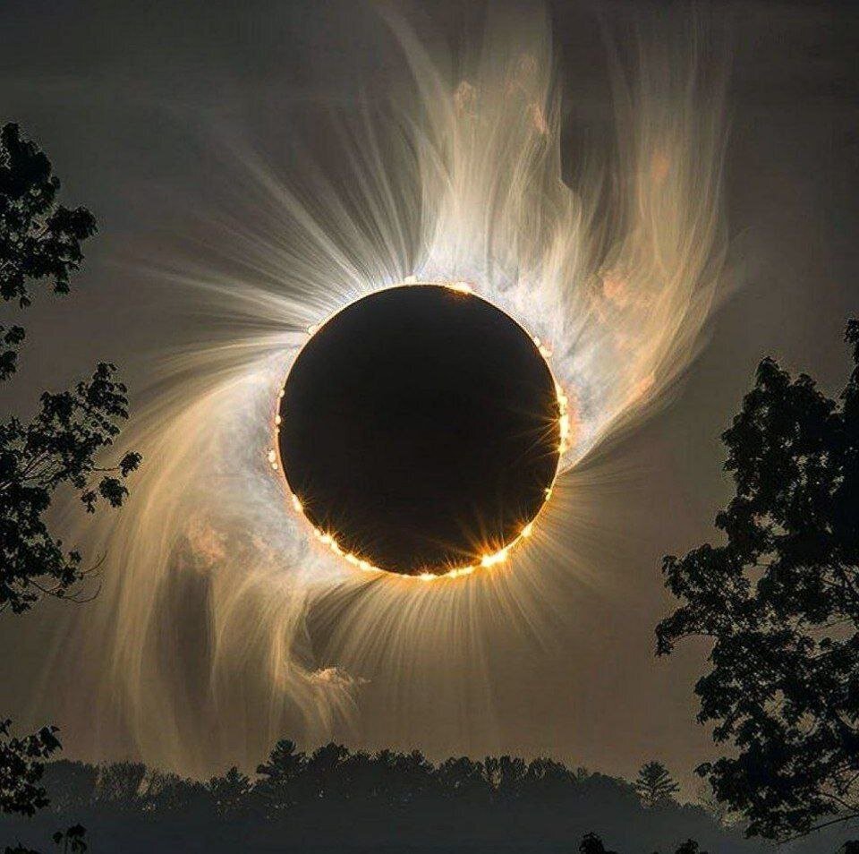 یک قاب خیره کننده از خورشید گرفتگی امسال | ببینید