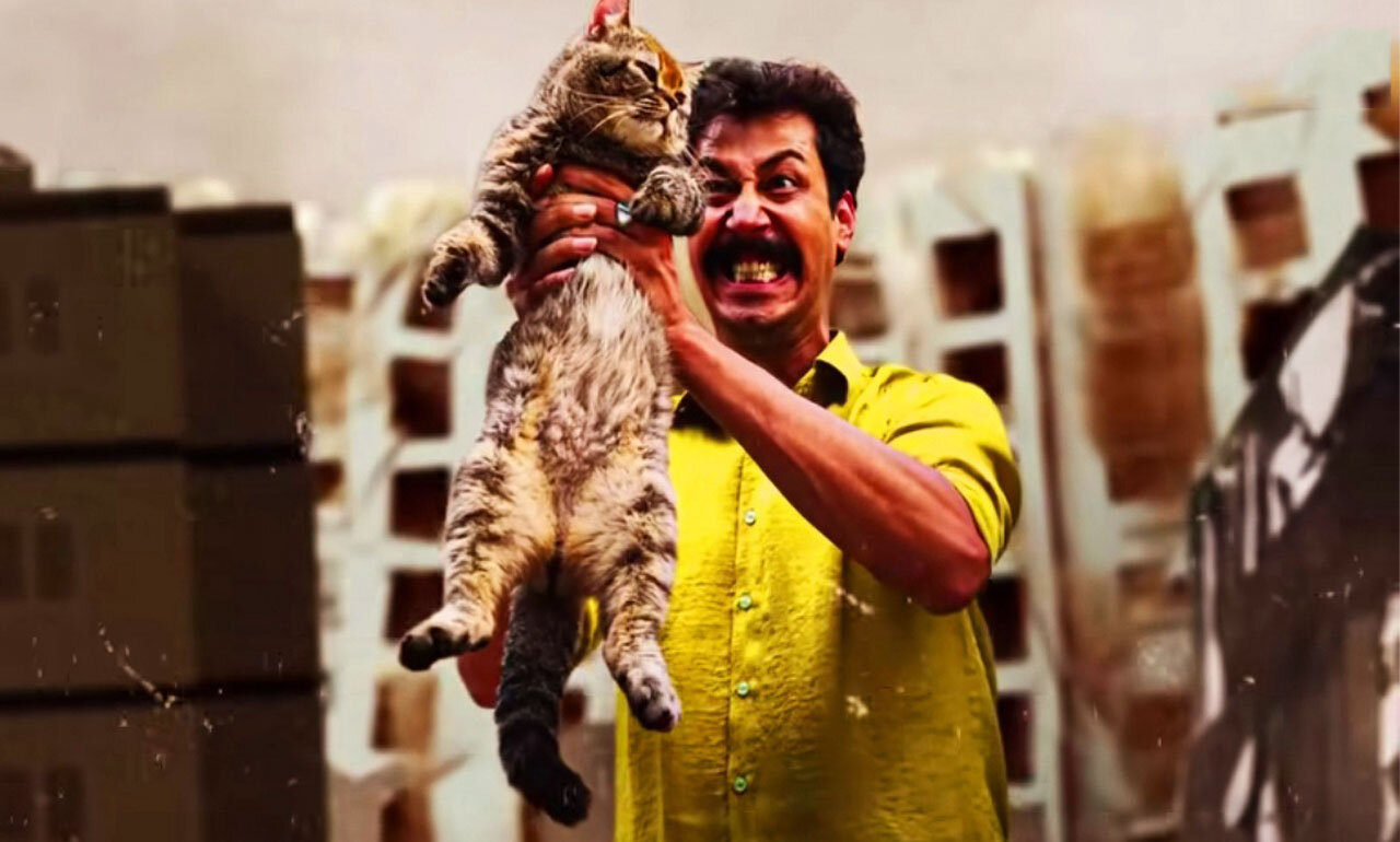 امسال سال گربه است یا سال تمساح؟ | زورآزمایی جواد عزتی و بهرام افشاری در اکران