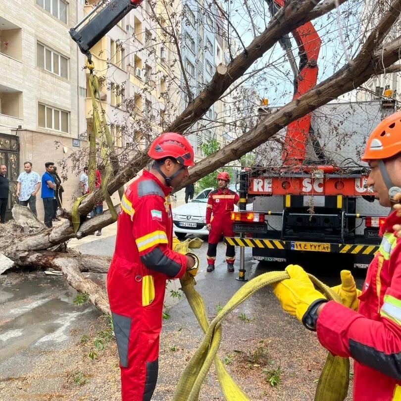 لحظه سقوط درخت روی خودرو + تصاویر | سقف پژو پارس له شد