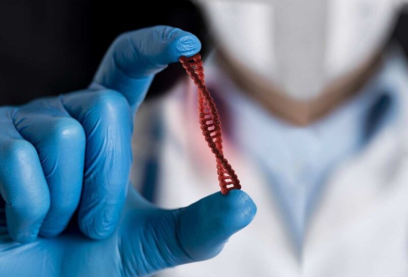 از تامین دارو تا کفشهای گران و شغلی که ندارند