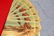 اعجاب اسکناس طلایی در کرانه خلیج فارس | عجیب ترین اسکناس های دنیا کدام هستند؟