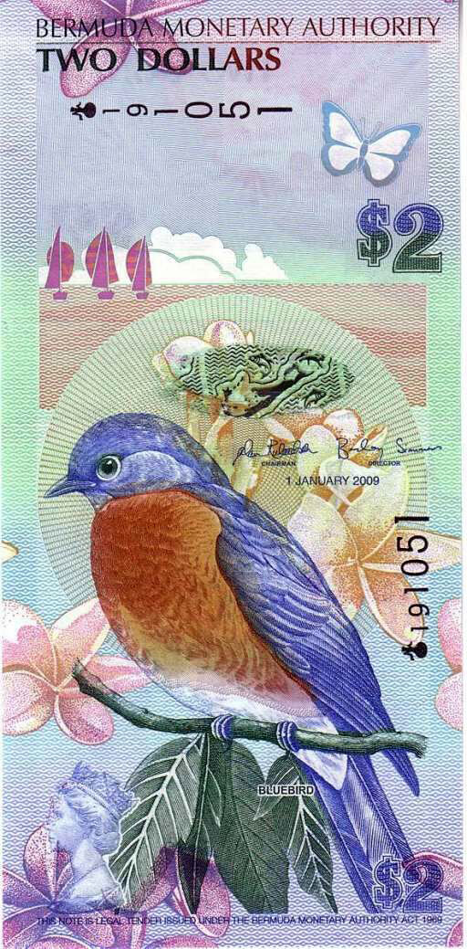 اعجاب اسکناس طلایی در کرانه خلیج فارس | عجیب ترین اسکناس های دنیا کدام هستند؟