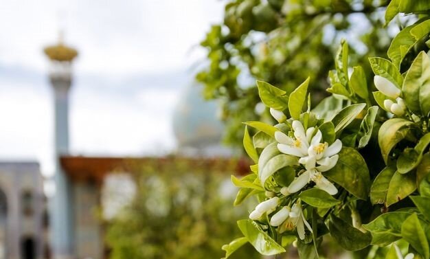 سفر در بهشت اردیبهشت | پیشنهادهایی برای سفر به رویاییترین شهرهای ایران در زیباترین ماه سال