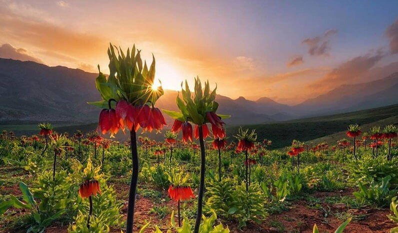 سفر در بهشت اردیبهشت | پیشنهادهایی برای سفر به رویاییترین شهرهای ایران در زیباترین ماه سال