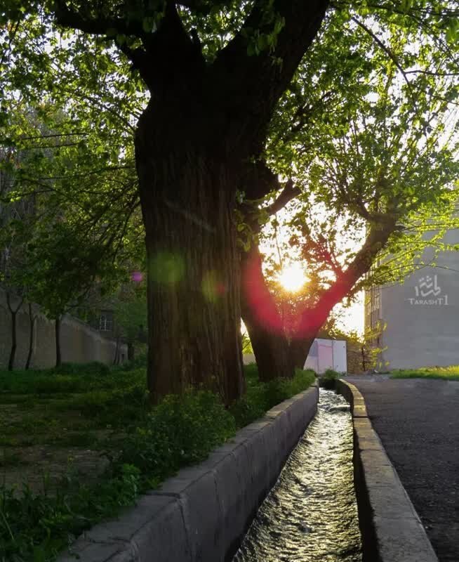 تغسیل اموات کنار آبانبار شیخ در طرشت