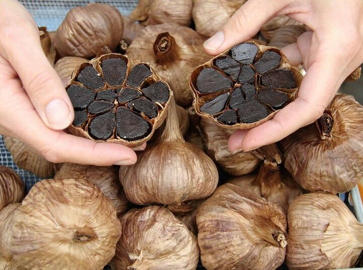 طریقه مصرف سیر سیاه ؛ خواص شگفتانگیز سیر سیاه را بشناسید | سیر سیاه برای چه کسانی ضرر دارد ؟ سیر سیاه