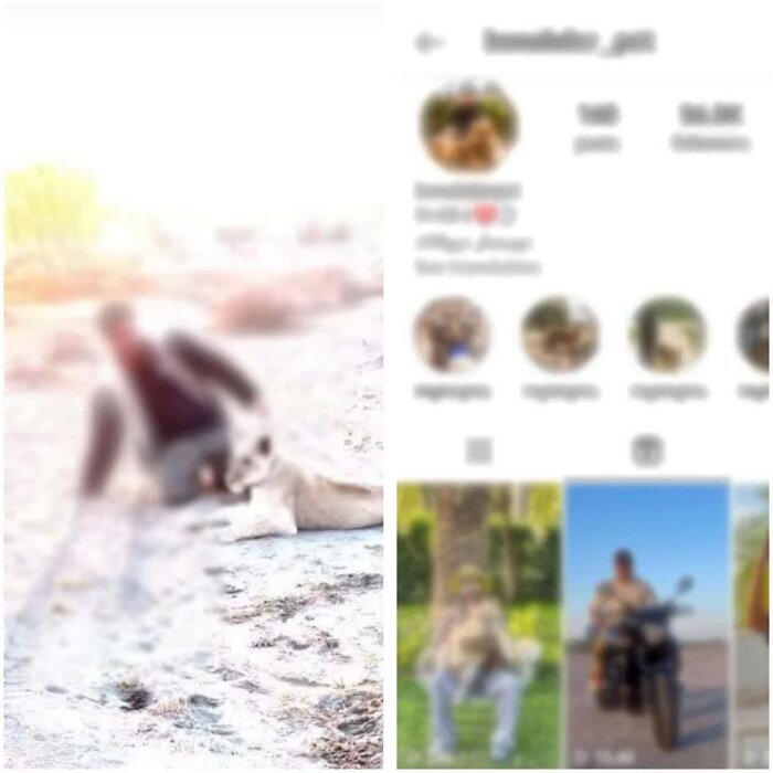 ماجرای پرسه توله شیر در خانه مرد ساروی چیست؟