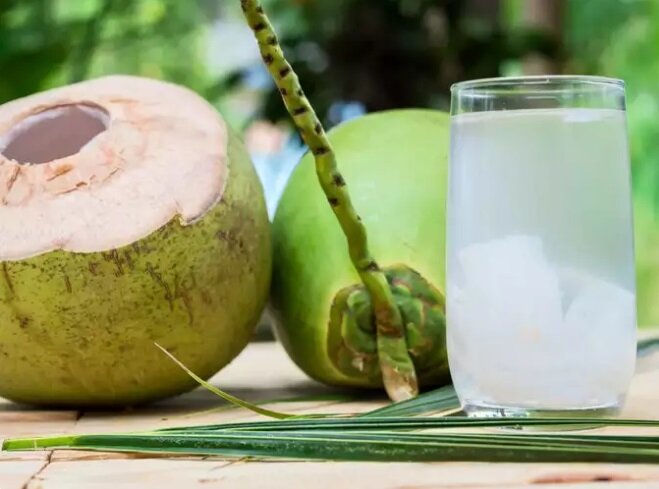 جایگزینهای مفید و جادویی شکر | با این نوشیدنیها قند و شکر را کنار میگذارید