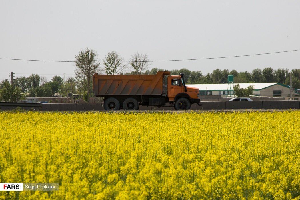 سفر به گلزارهای جنوب تهران