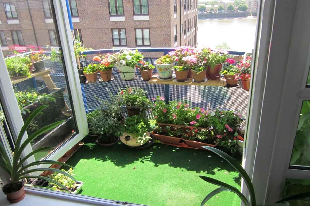 چطور بهار را به بالکن خانه ها ببریم؟ | ایده های برای نگهداری گیاهان در بالکن‌های۲ متری