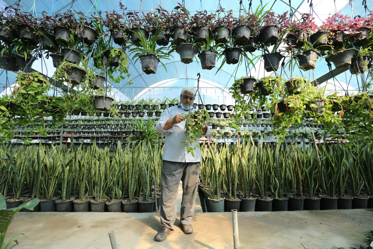 در حوالی پایتخت به دیدار گل ها بروید | گل همین پنچ روز و شش نباشد!