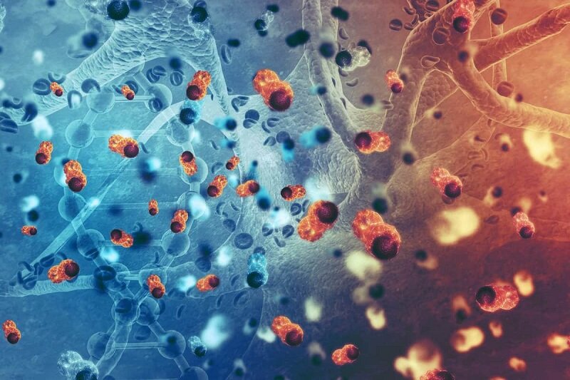 تشخیص سه سرطان مرگبار با هوش مصنوعی | خون خشک شده بهتر از خون مایع است