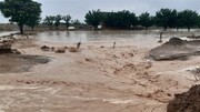 تصاویری از وضعیت یک دستگاه تریلی در میان سیلاب! | ویدئو