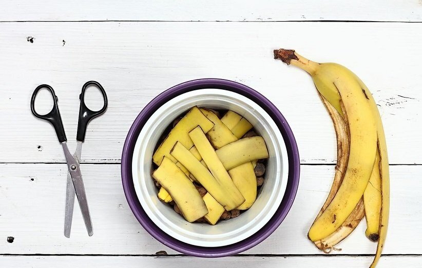 خواص شگفتانگیز پوست موز | چیزهایی که درباره این میوه پرخاصیت نمیدانید