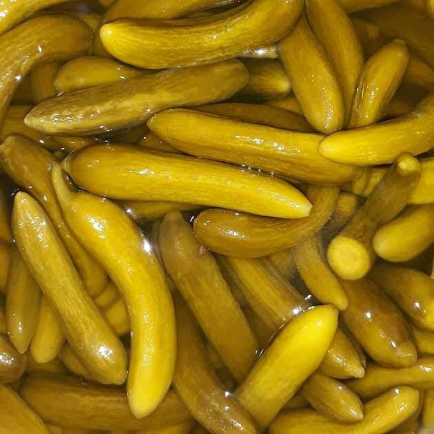 فوت و فن تهیه خیار شور خانگی | فوت کوزهگری خیارشورهای ترد و خوشمزه | این خیارها را هیچوقت برای خیارشور استفاده نکنید