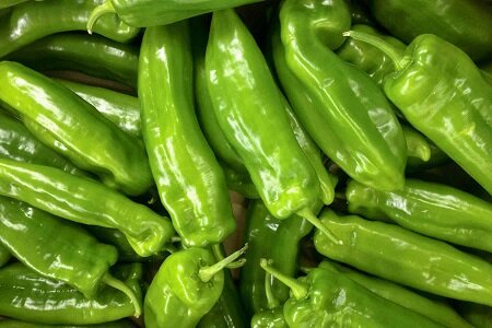 فوت و فن تهیه خیار شور خانگی | فوت کوزهگری خیارشورهای ترد و خوشمزه | این خیارها را هیچوقت برای خیارشور استفاده نکنید