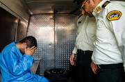 فامیل دور در تهران دستگیر شد
