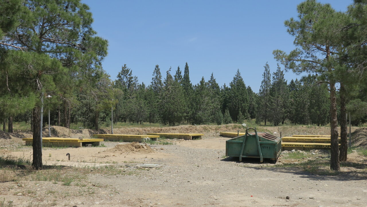 فصل گلدهی دشت های غربی پایتخت را از دست ندهید | تماشای ریواس های تالون تا شقایق های اخترآباد