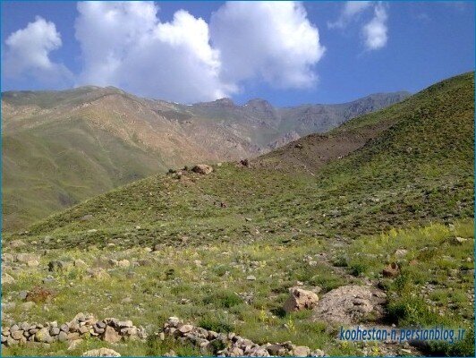 طبیعتگردی در دشتهای شمال تهران تجربه کنید